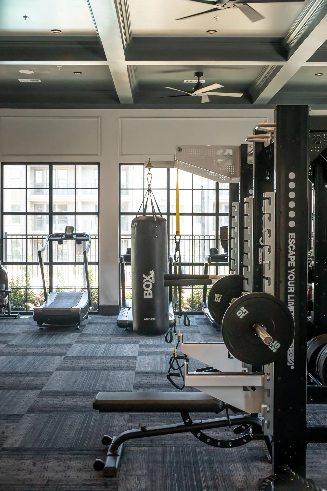 Multifamily amenity fitness center with a squat rack, weight bench, punching bag and treadmills by black framed windows