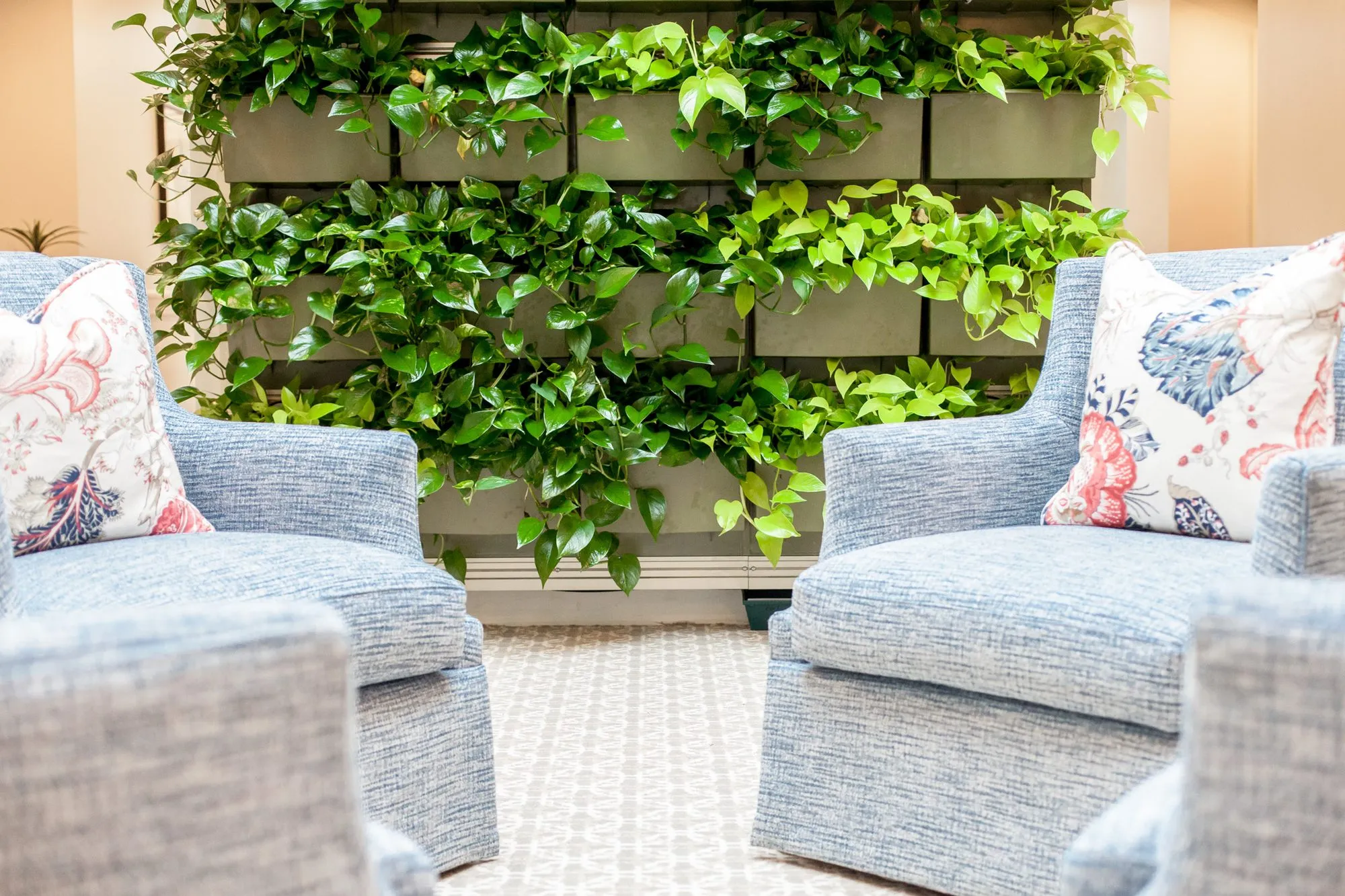 Senior living interior detail: planted wall of trailing pothos between two pale blue armchairs with floral pillows