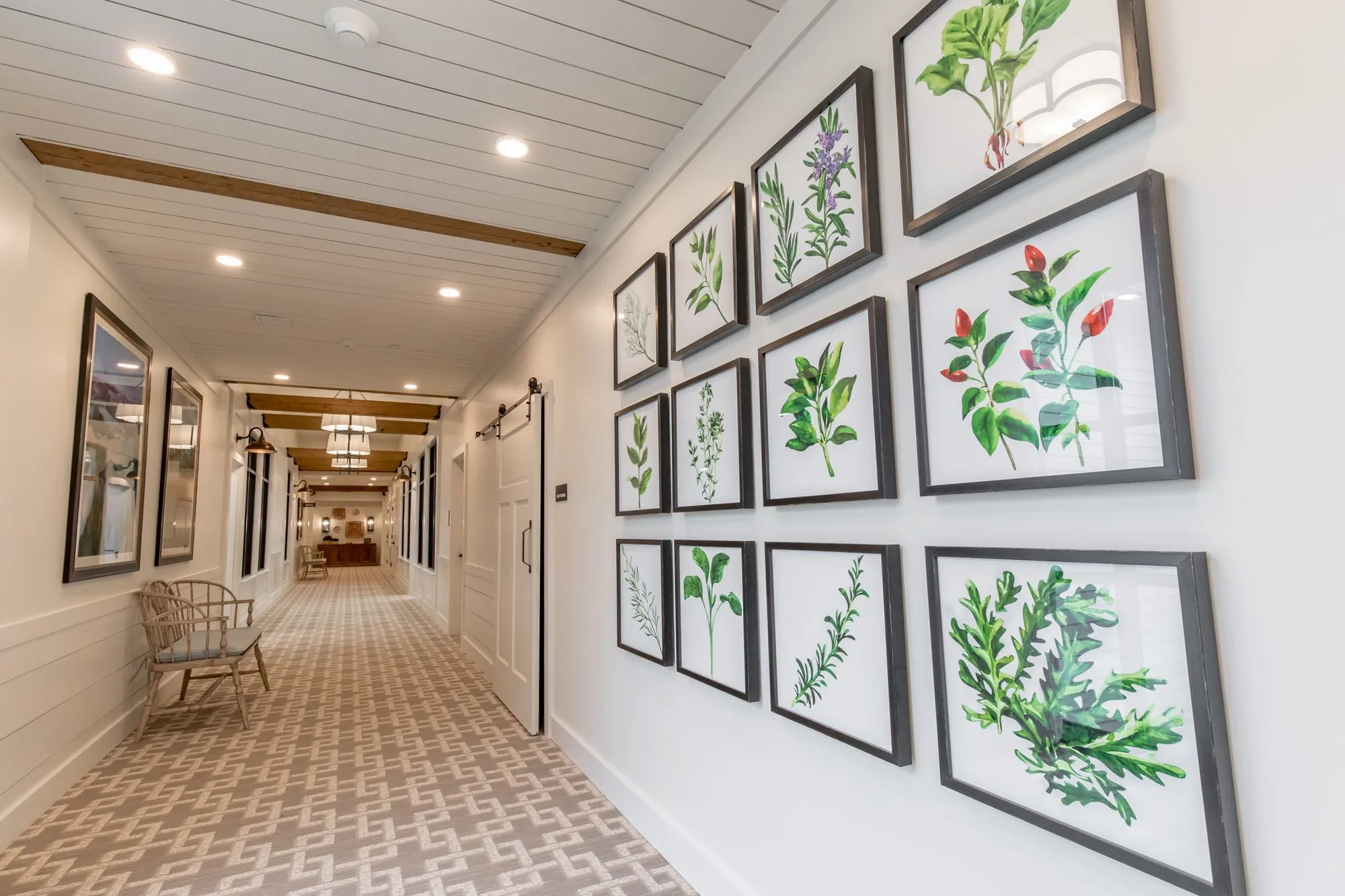 Senior living corridor with a white plank ceiling and timber beam, framed botanical herb prints and a bentwood chair