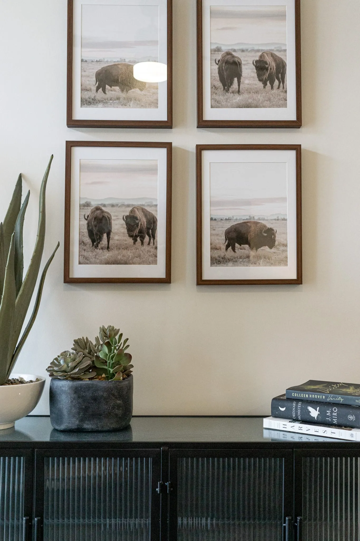 Multifamily interior detail: gallery wall of framed bison prints above a black fluted console with potted greenery
