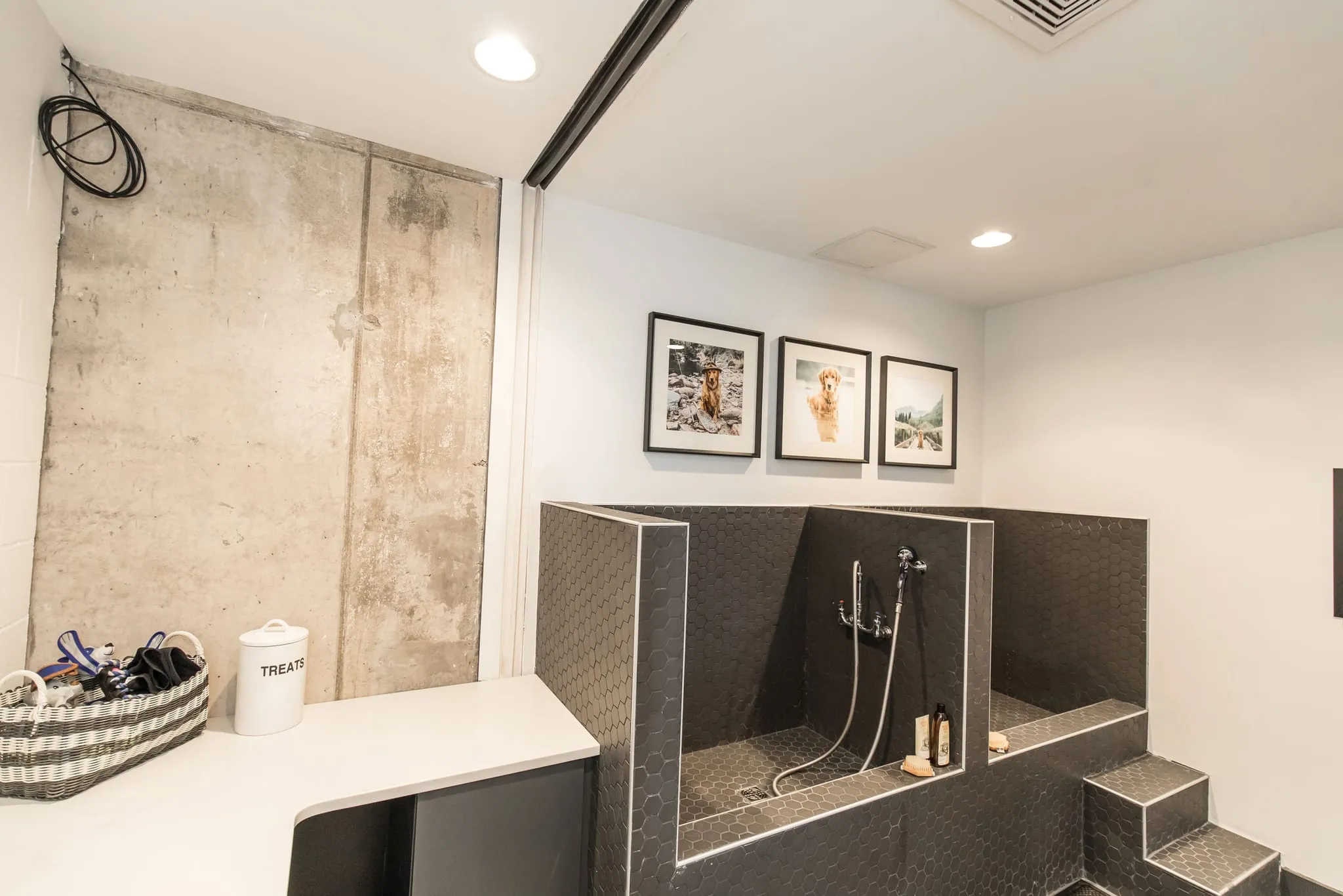 Multifamily amenity pet grooming station: tiled walk-in wash bay with steps and a hose beside the concrete wall