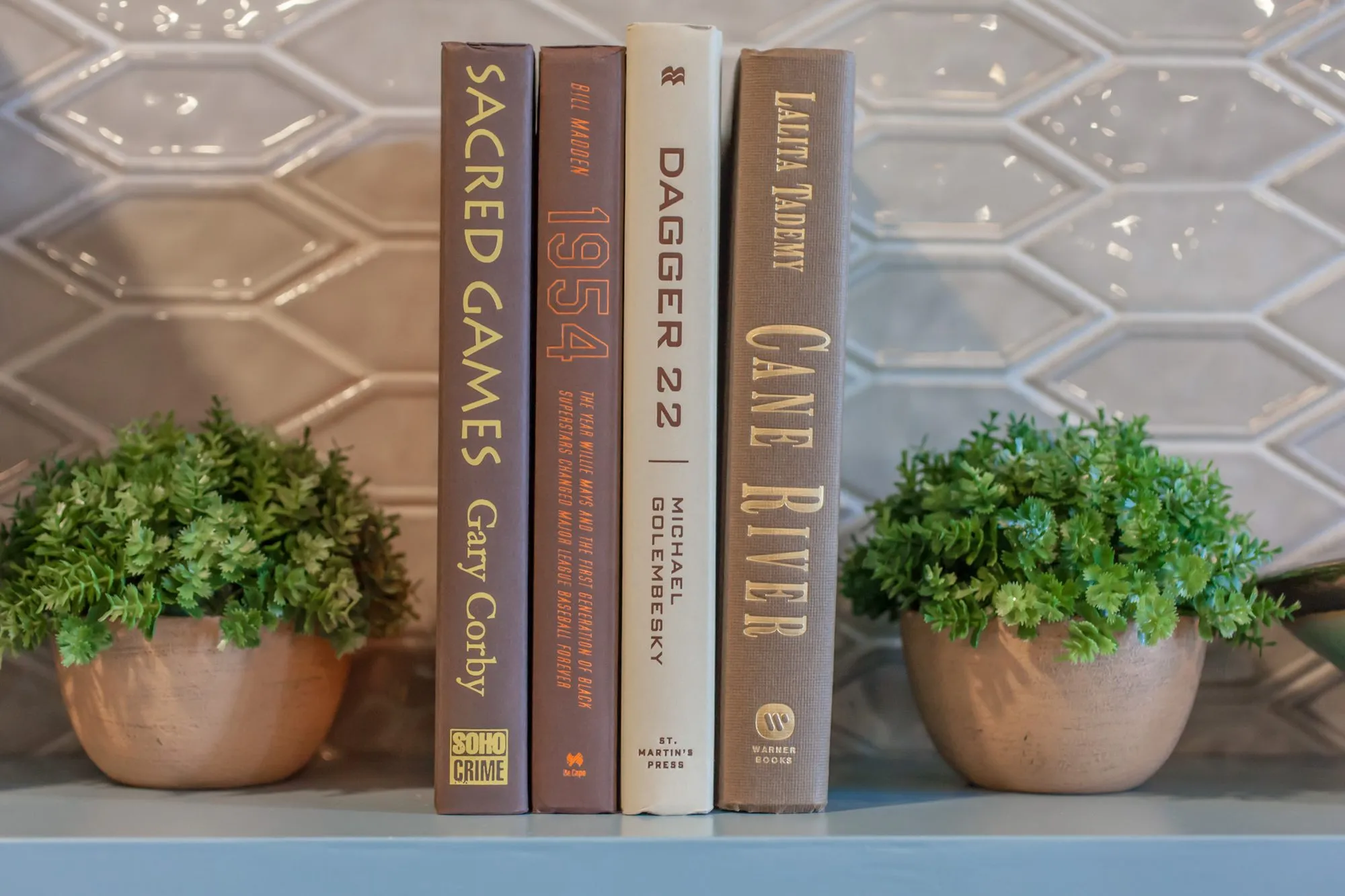 Senior living interior detail: row of hardback books between two potted plants on a shelf against white hexagonal tile