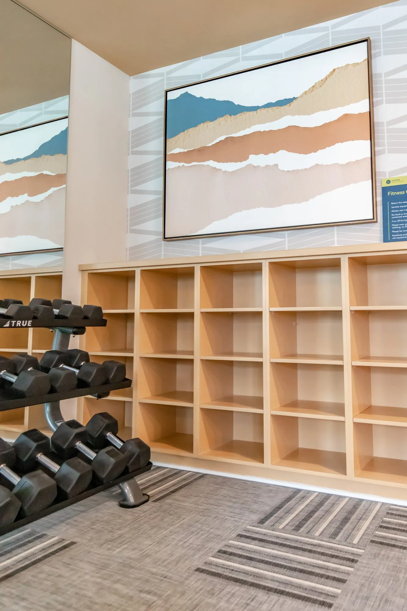 Multifamily amenity fitness room with a dumbbell rack, light wood cubby shelving and a layered landscape print