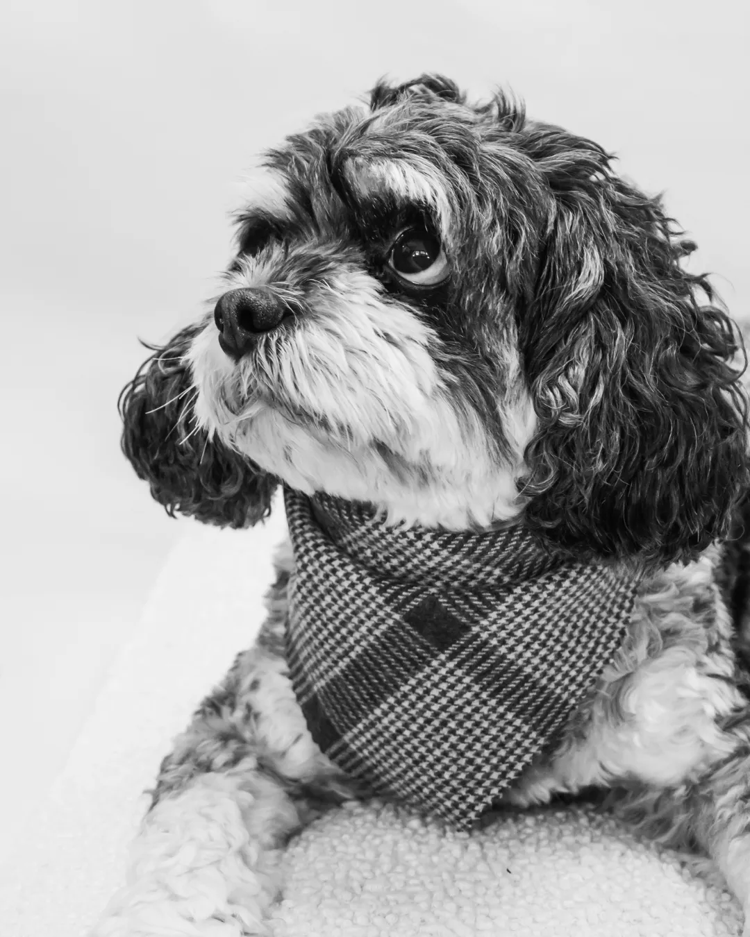 Portrait of Ollie Butler, In-House Therapist at Banko Design