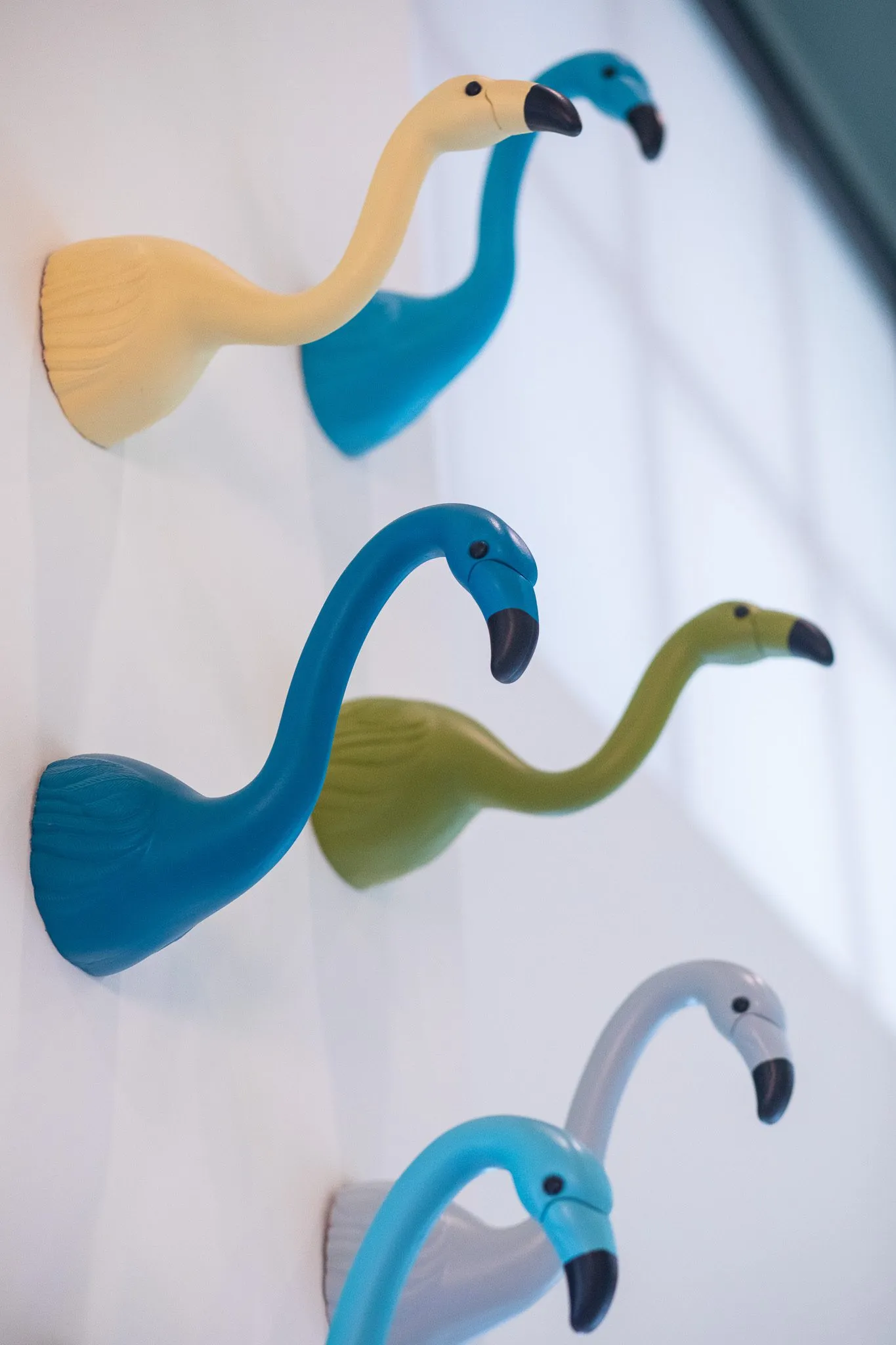 Multifamily interior detail: angled view of ceramic flamingo head hooks in yellow, blue, green and grey
