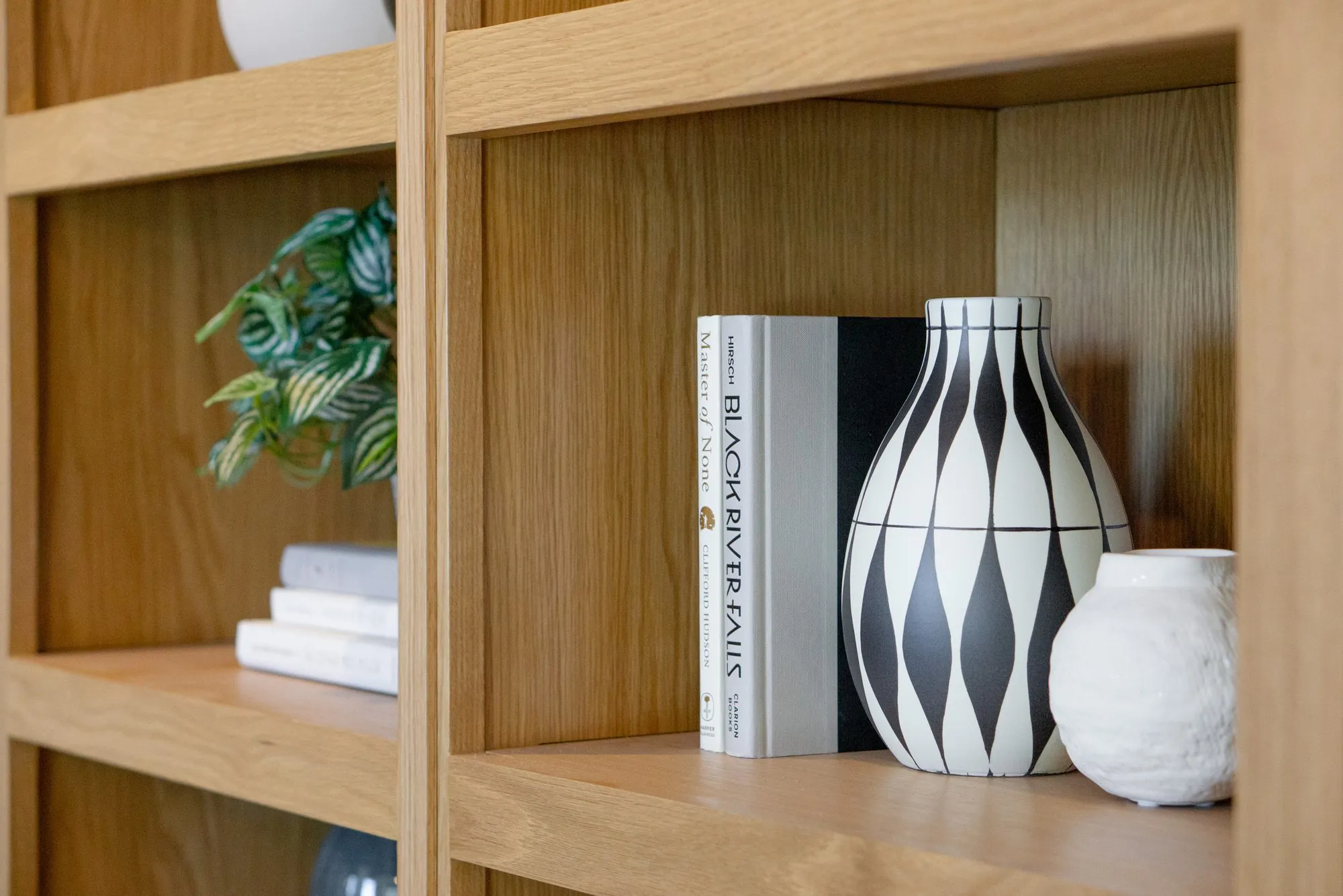 Multifamily interior detail: oak shelving with a harlequin vase, white textured pot and books, a plant in the next cubby