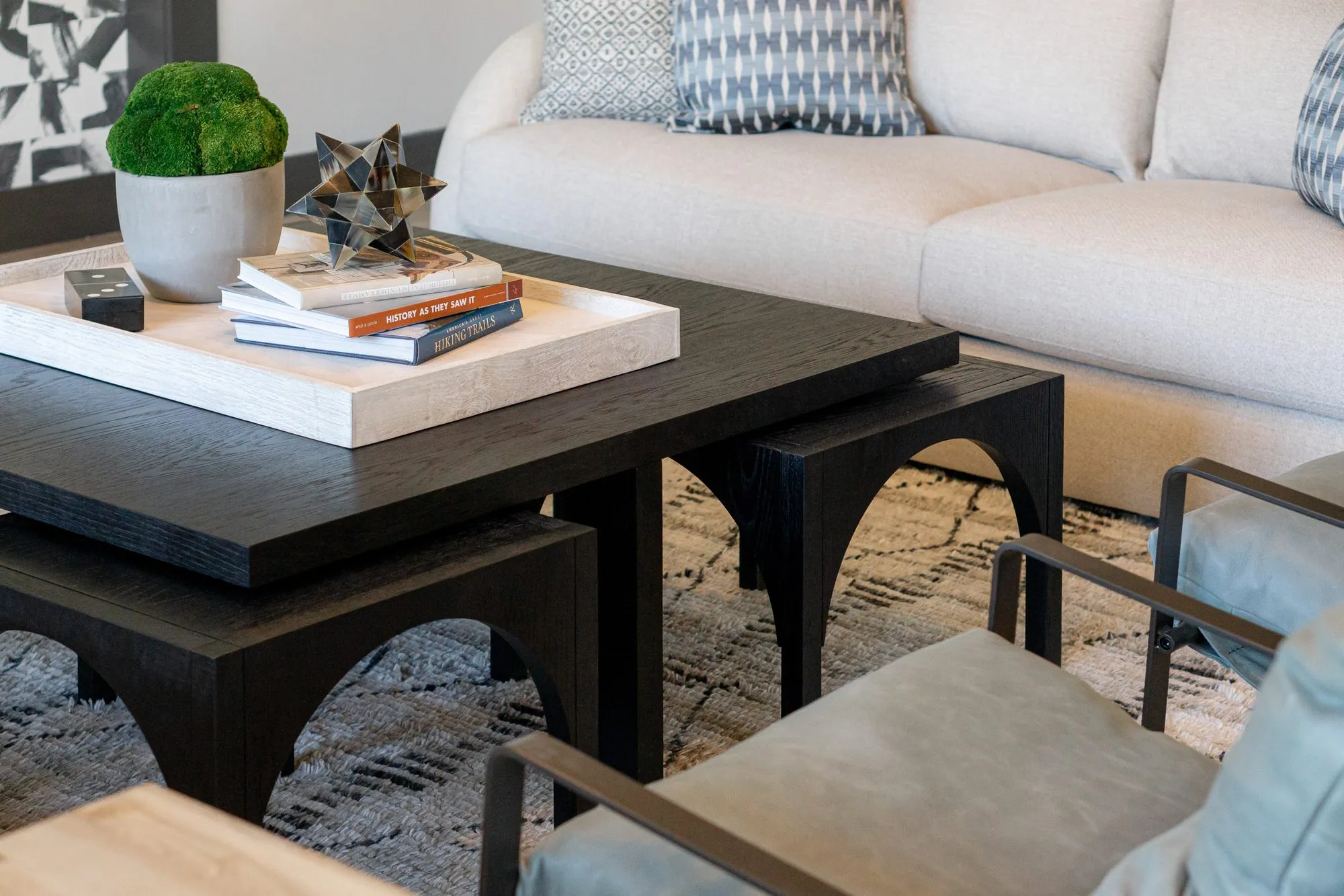 Multifamily interior detail: black arched leg coffee table with a white tray, moss pot and books before a cream sofa