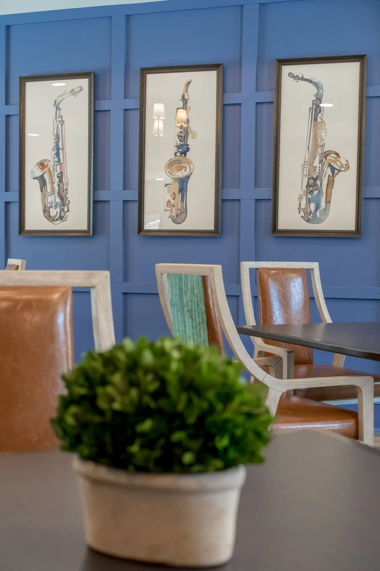 Senior living activity room with a potted boxwood on a dark table before framed saxophone prints on royal blue panelling