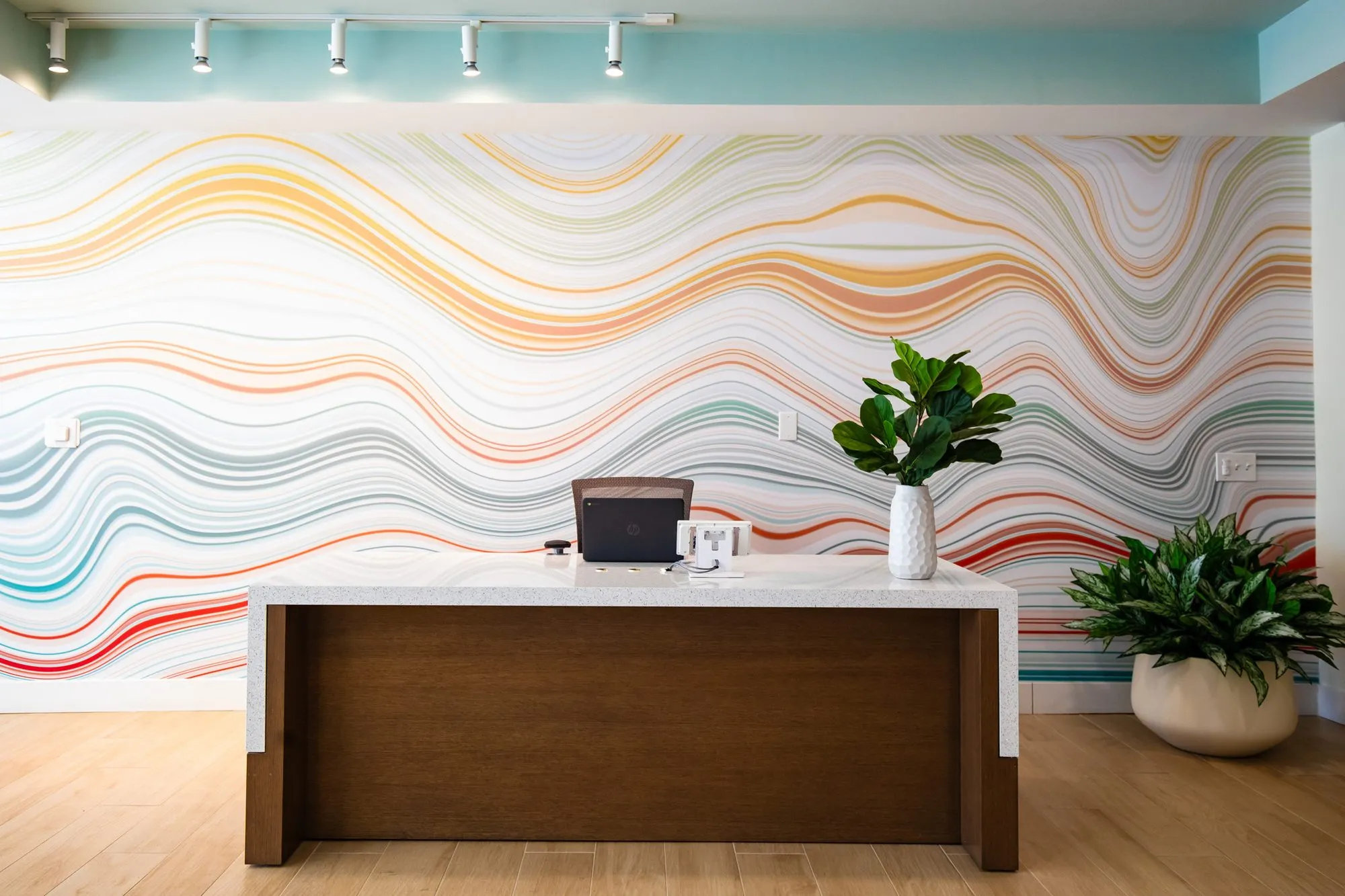Student housing amenity reception desk with a white top before a wavy multicoloured striped mural, potted plants either side