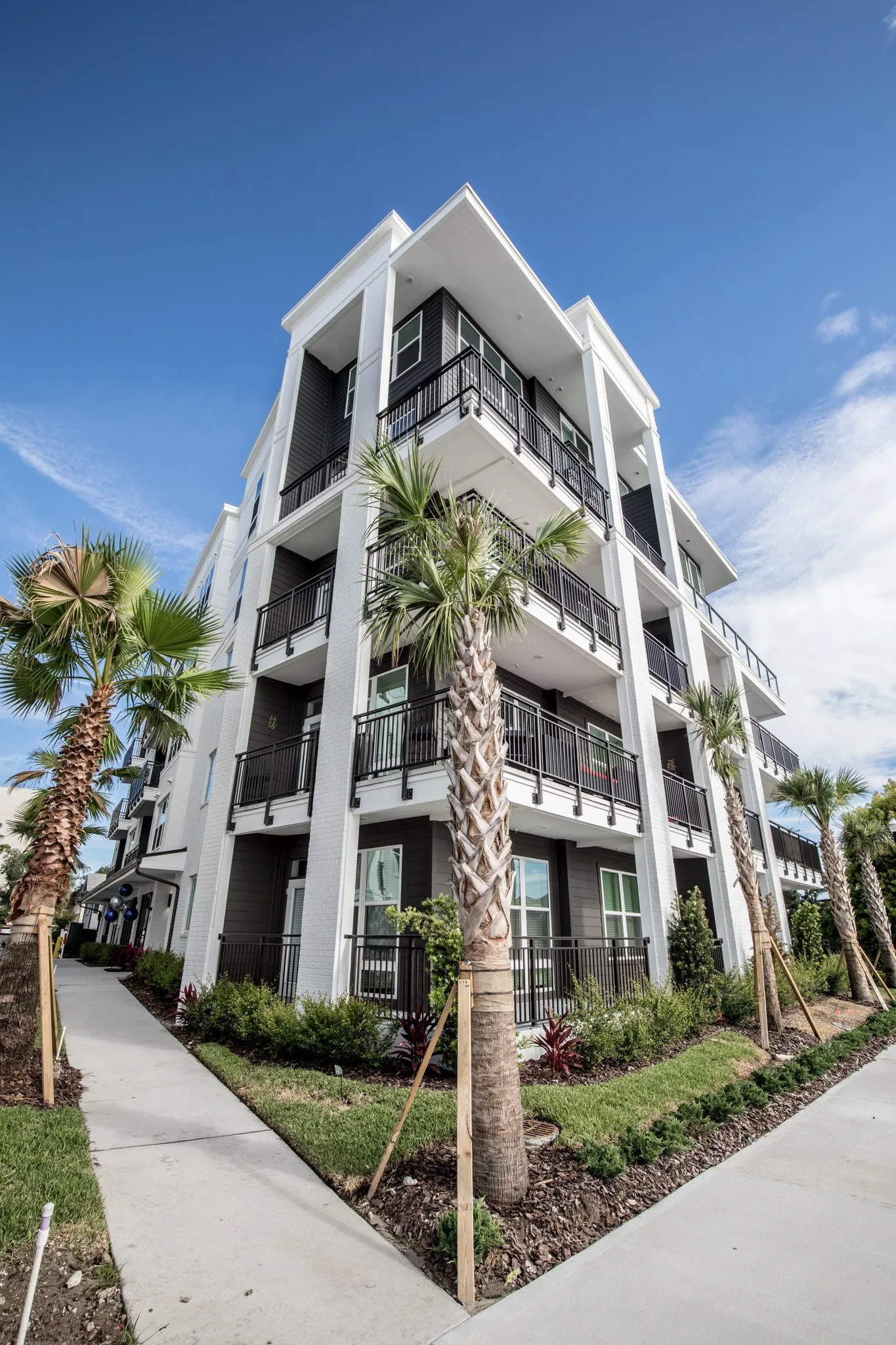 Multifamily community exterior: building corner with stacked balconies above newly planted palms along the sidewalk