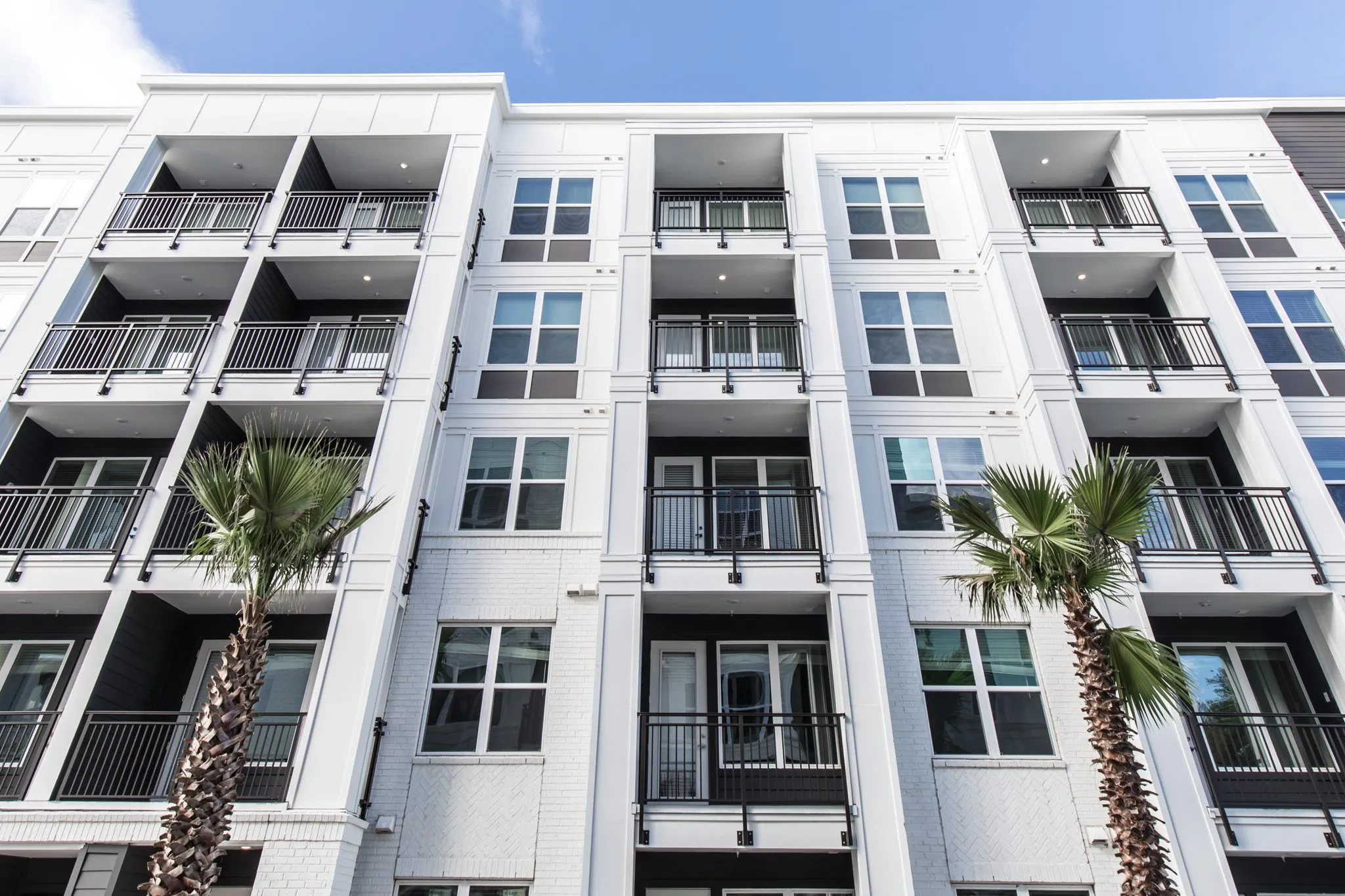 Multifamily community exterior: white facade with recessed black balconies and two palm trees in front