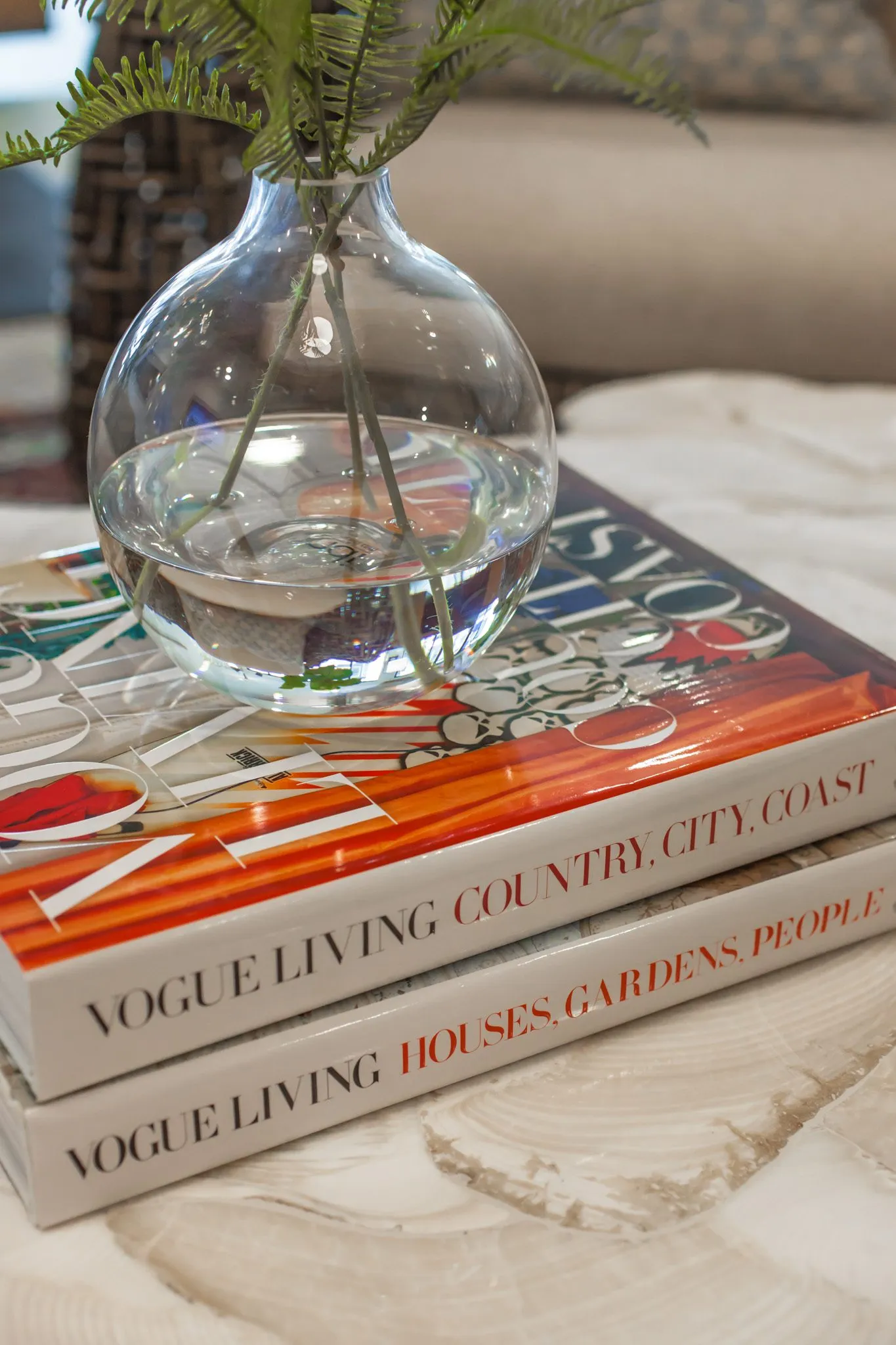 Multifamily interior detail: fern fronds in a glass vase on stacked coffee table books