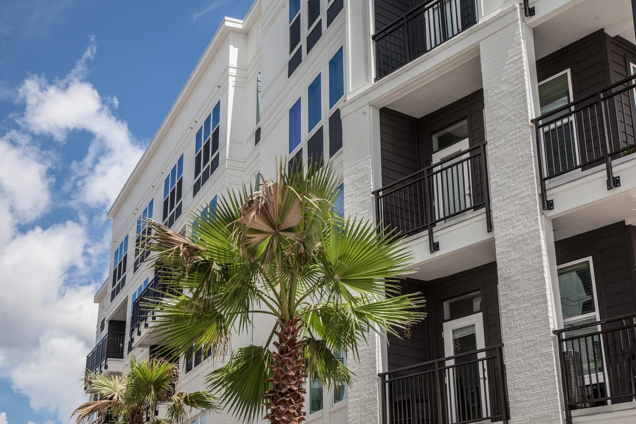 Multifamily community exterior: palm tree before a white facade with navy siding and black balconies under a blue sky