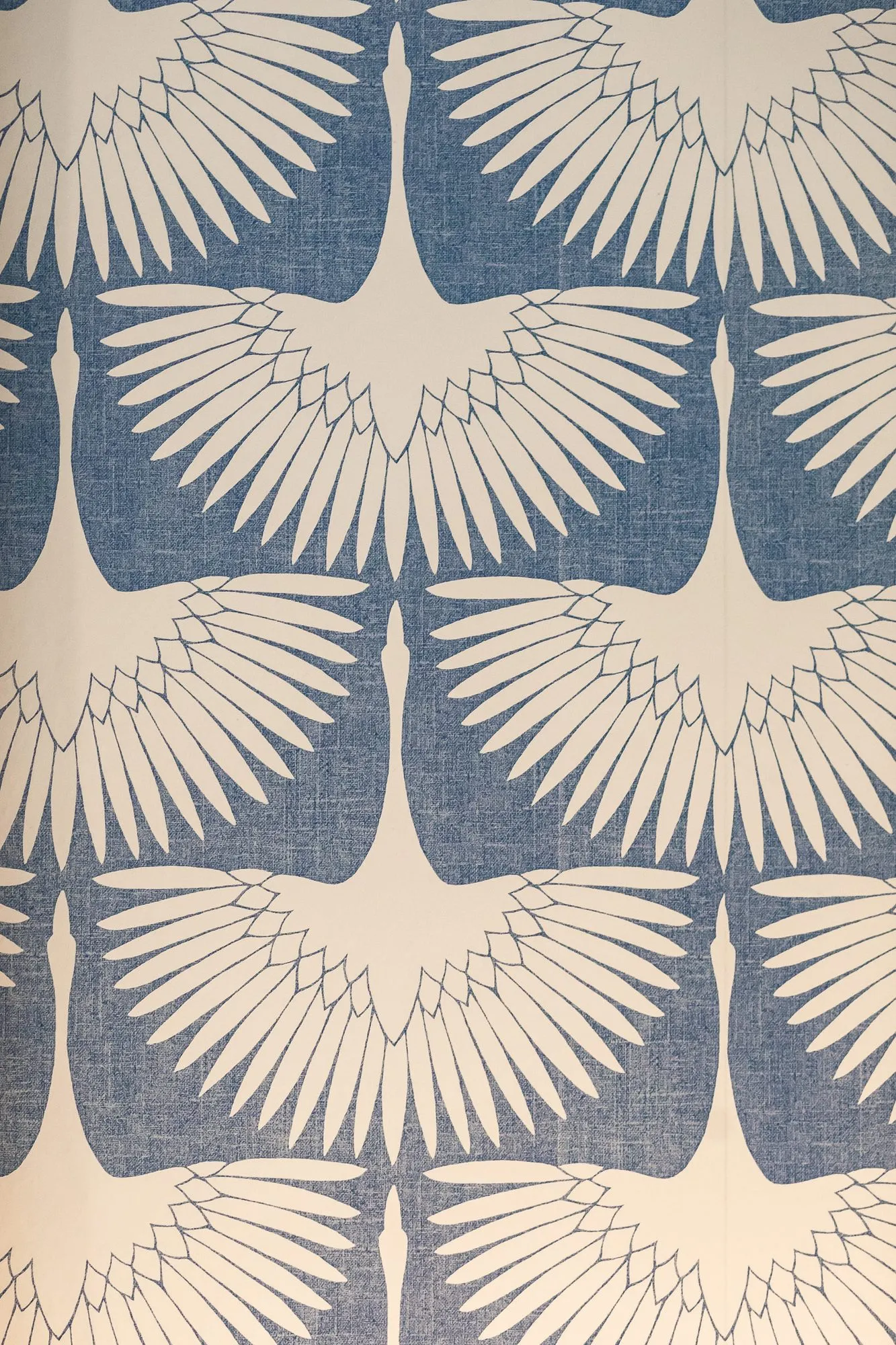 Multifamily interior detail: blue and cream wallpaper patterned with cranes, wings outspread