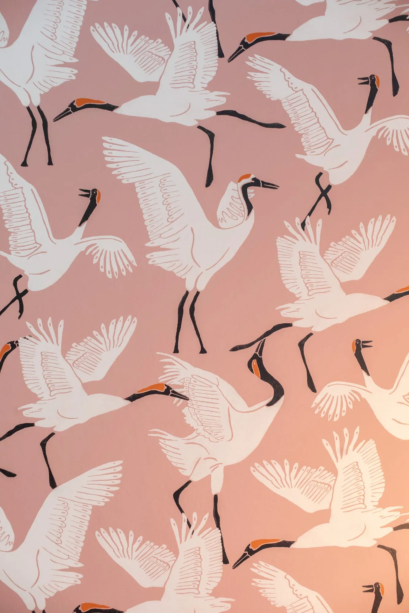 Multifamily interior detail: pink wallpaper printed with white cranes in flight