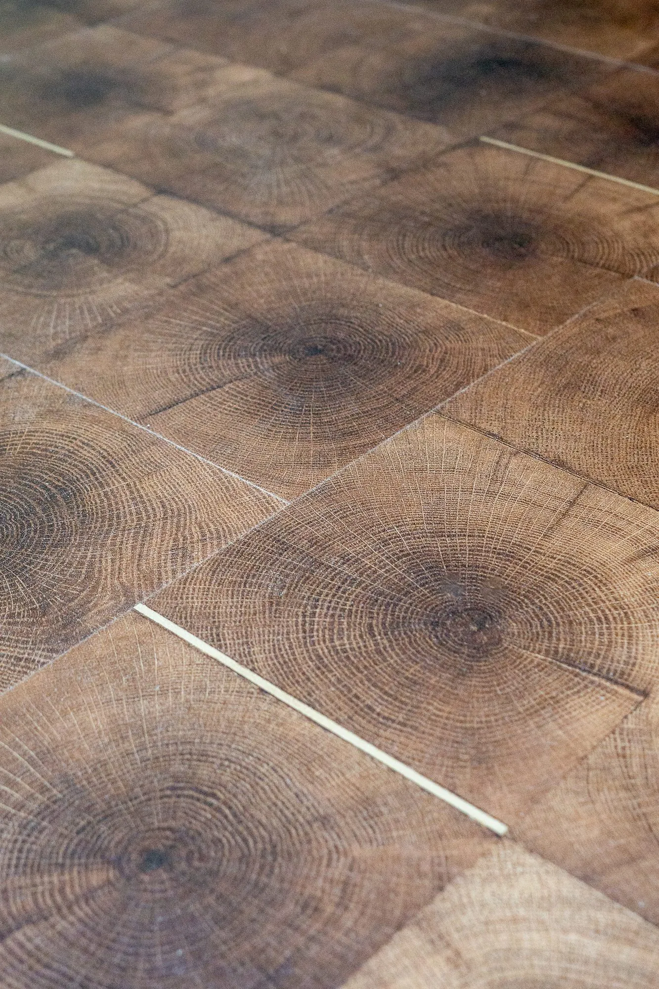 Multifamily interior detail: end-grain wood floor tiles showing growth rings