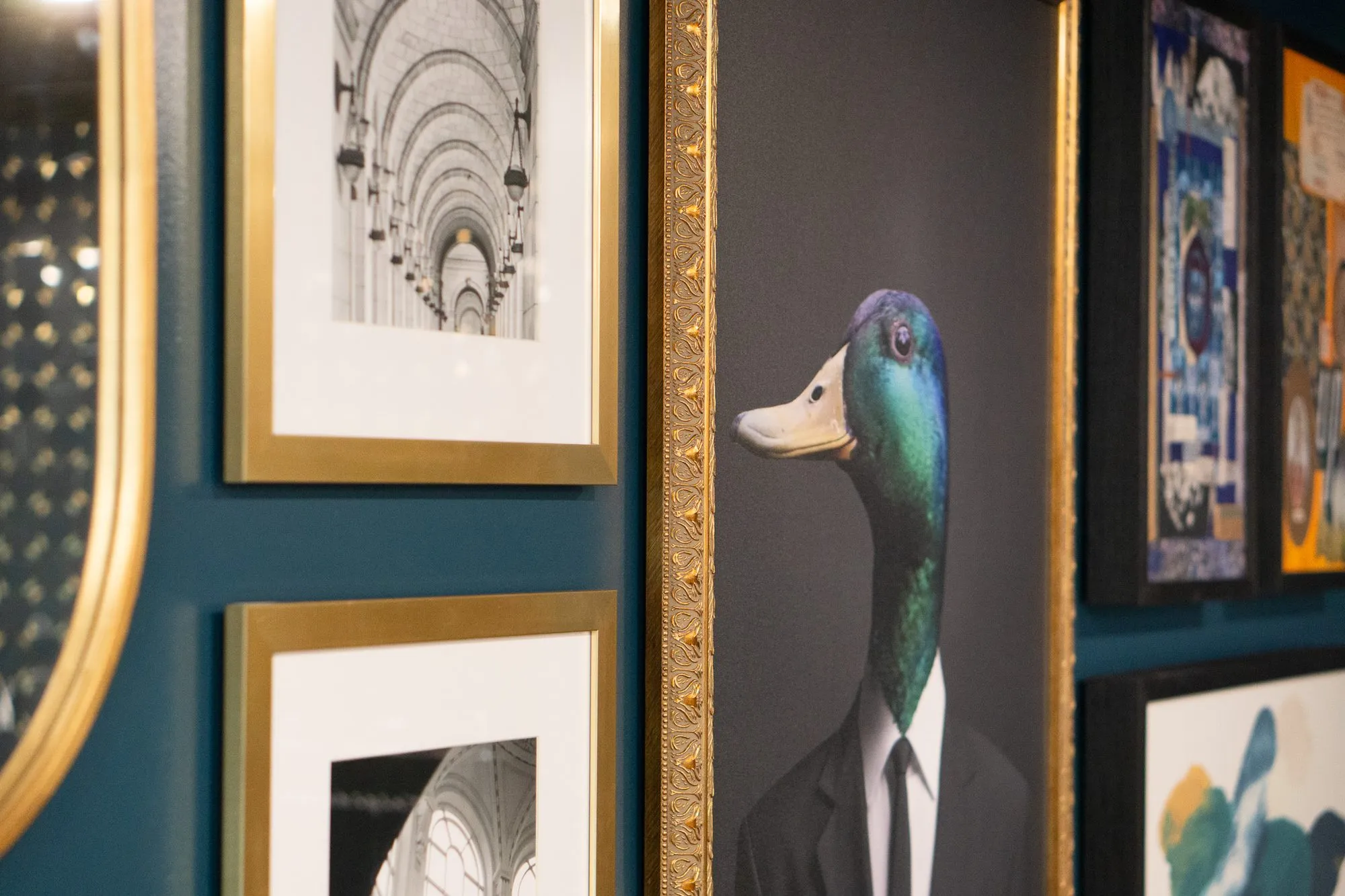 Multifamily amenity gallery wall with the duck-headed portrait between framed arch photographs and the oval mirror