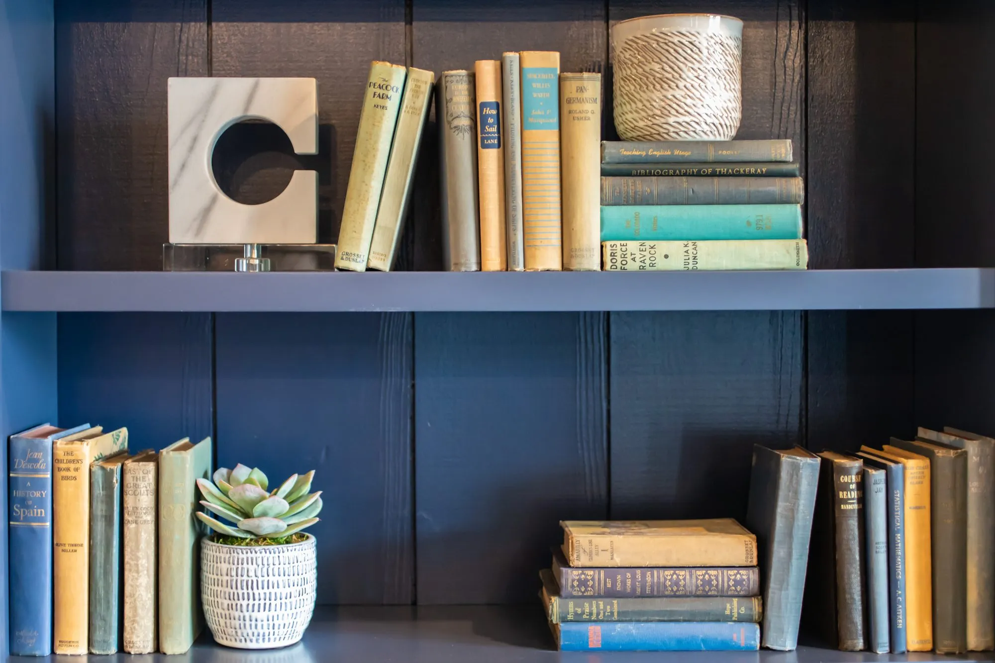 Senior living interior detail: navy shelving with vintage books, a succulent, a marble sculpture and a woven pot