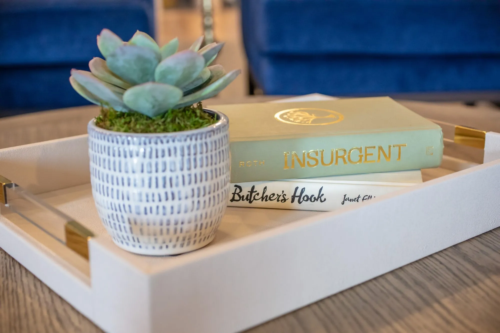 Senior living interior detail: succulent in a speckled pot with books on a white tray with brass handles, navy chairs behind