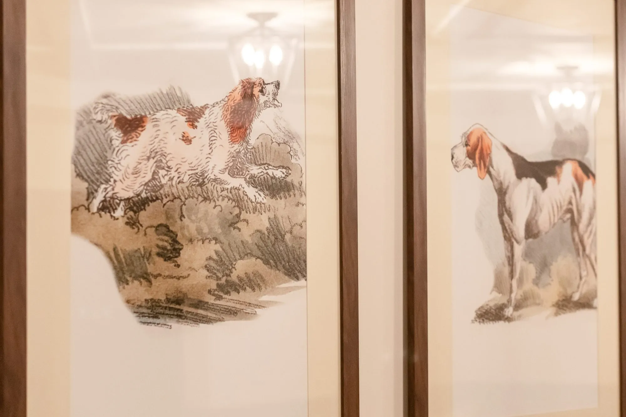 Senior living interior detail: two framed sporting dog prints in wood frames, a chandelier reflected in the glass