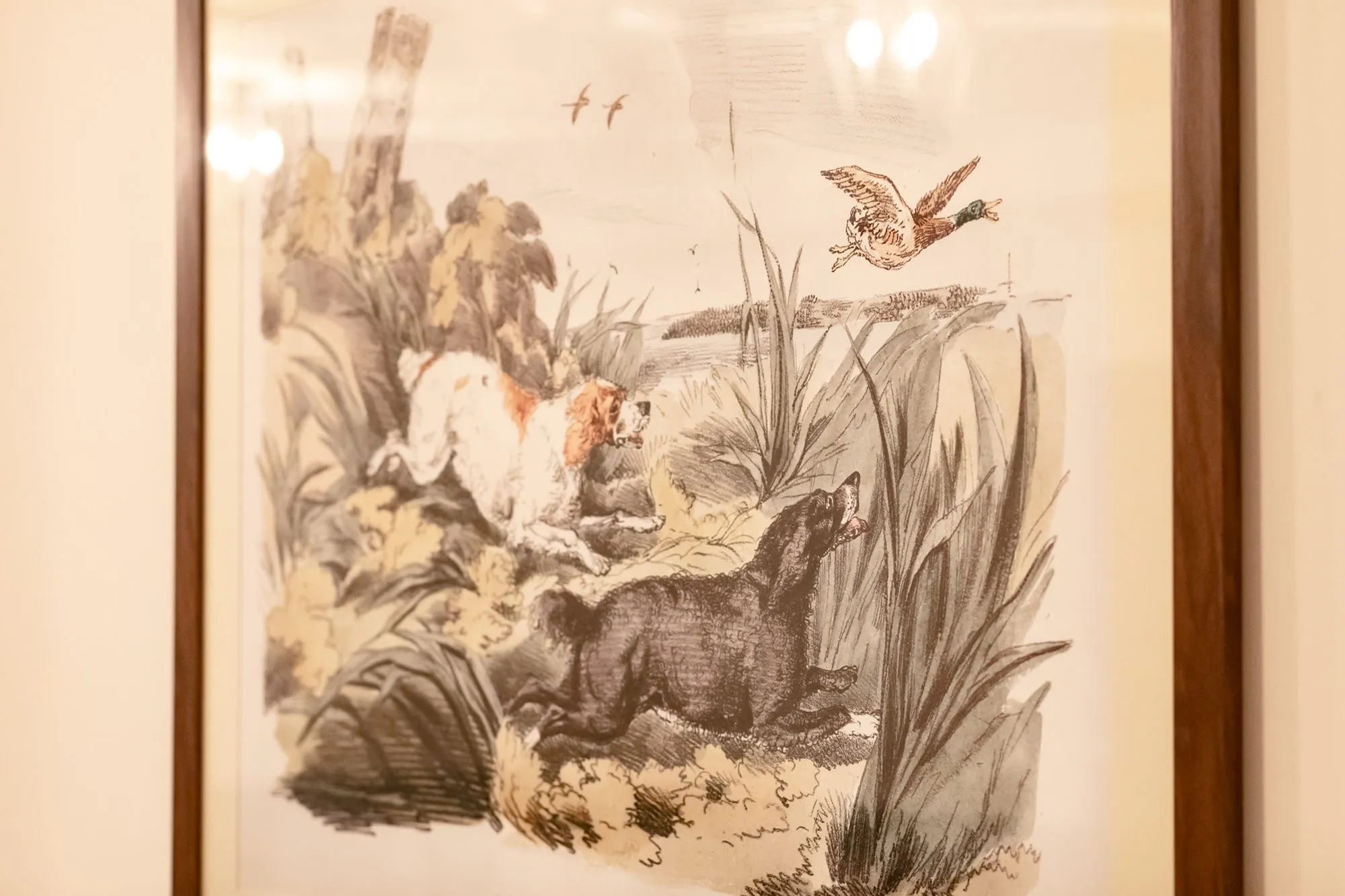 Senior living interior detail: framed hunting print of spaniels flushing a duck from the reeds