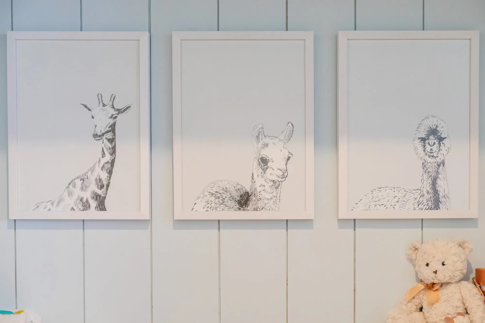 Senior living interior detail: three framed pencil sketches of a giraffe and alpacas on pale blue paneling, a teddy bear