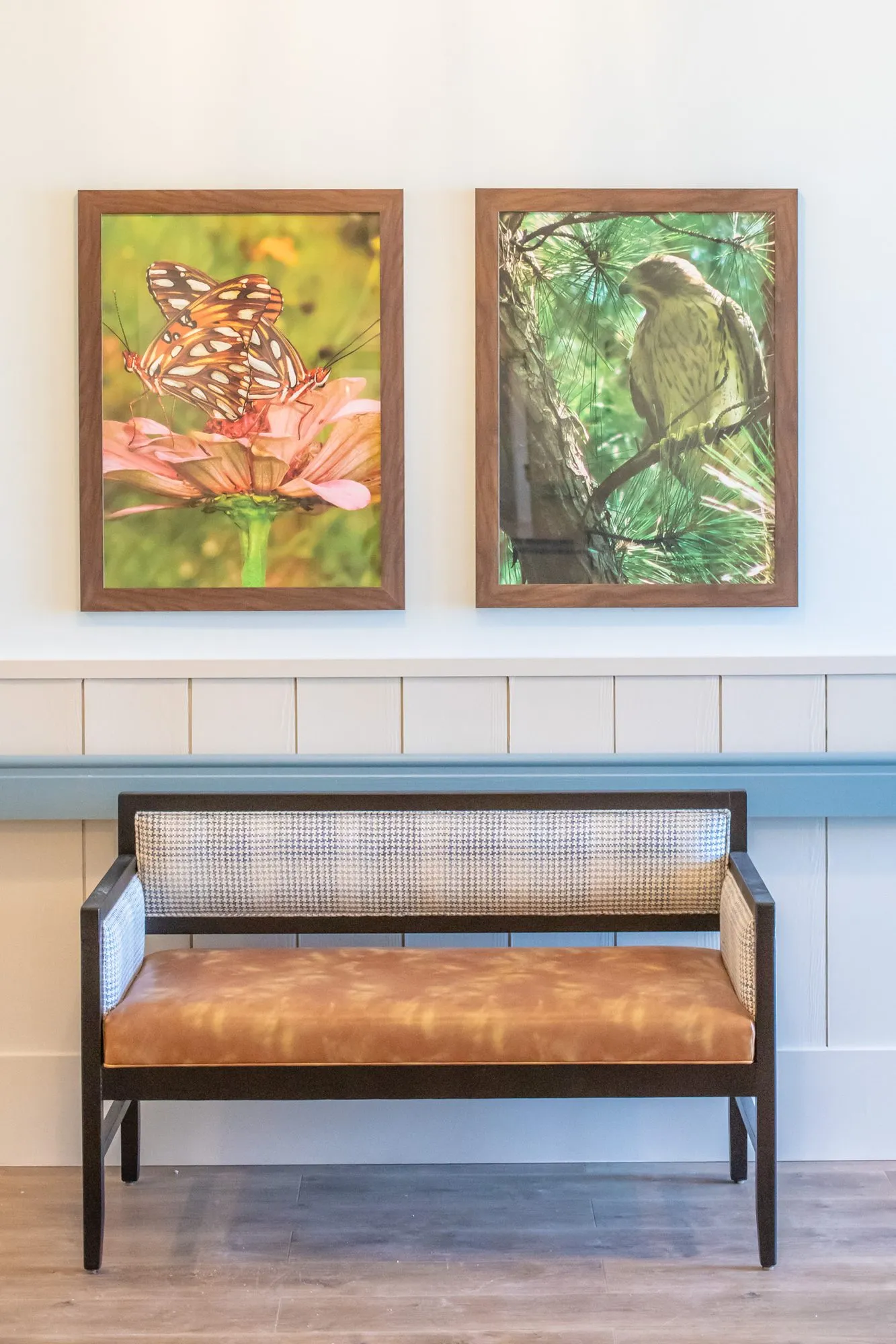 Senior living interior detail: cane back bench with a cognac seat below framed butterfly and bird photographs