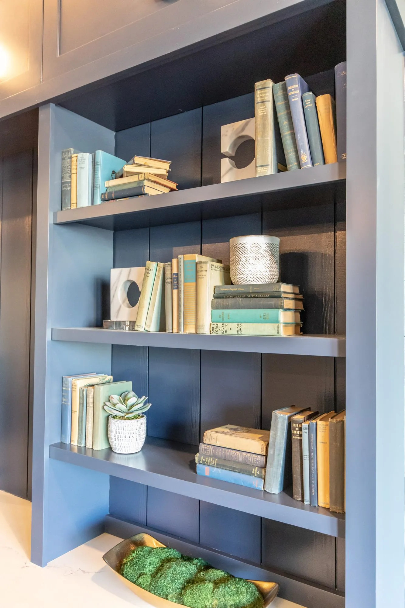 Senior living interior detail: navy bookcase with vintage books, white sculptures and succulents